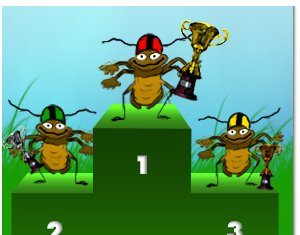 Cockroach-Race: Kakerlaken-Rennen in Australien !