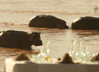 The Retreat: Wo sich Flusspferde Gute-Nacht-Küssen