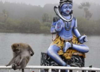 Mauritius Reisetagebuch – Wo ist die Sonne im Paradies geblieben?