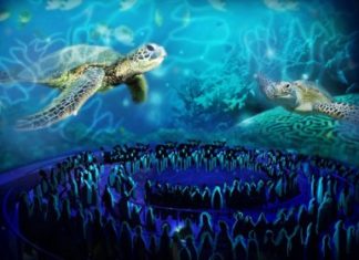 Turtle Trek in SeaWorld Orlando ! Eröffnung am 27. April