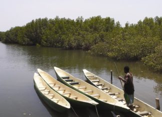 Frühjahrsputz in Gambia – Ein Land räumt auf