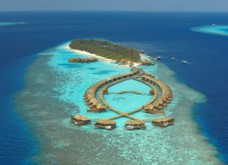 Hummer unterm Sternenhimmel, Teppanyaki am Swimmingpool – Noch mehr Gastronomie im Lily Beach Resort & Spa auf den Malediven