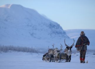 Jojk und samische Kultur bei der „Langen Nacht der Museen“