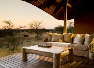 Entschlacken und entgiften mit dem Tswalu Chai Tee – Rezept aus der Kalahari zum Nachahmen