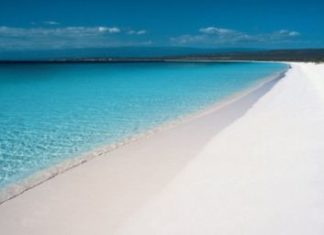 Die Dominikanische Republik beim 10-jährigen IMEX-Jubiläum