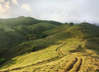 Waidmanns Heil auf Mauritius – Heritage Le Telfair Golf & Spa Resort bietet Jagderlebnisse in der Domaine de Bel Ombre