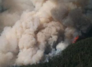 Waldbrände in Spaniens Urlaubsregionen