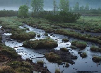 Miles & Moor: Genuss zu Fuß in Bad Kleinkirchheim