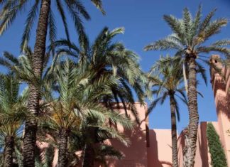 Ein Kunstwerk aus Blüten und Palmen: Die Gärten des Royal Mansour Marrakech