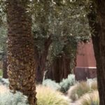 Medina_RoyalMansour_0135