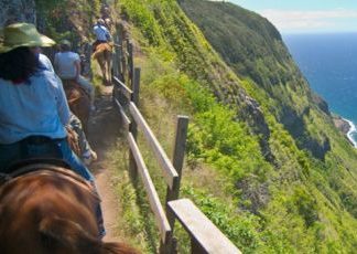 Hawaii – Agrartourismus im Aloha Staat