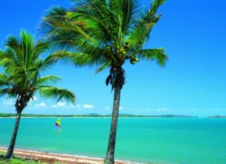 Queensland: In Port Douglas gibt’s eine auf die Nuss