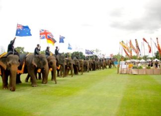 Thailand: 11. Kings Cup Elefanten Polo Turnier lockt prominente Zuschauer