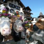 Sptherbst_in_Gstaad-KS-10.10.08_18