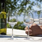 Weinbau_in_Wolfsberg_Glas