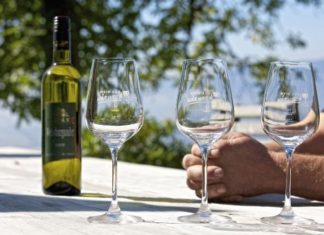 Die Renaissance des Kärntner Weins