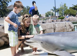 Sheryl Crow in SeaWorld San Diego