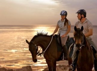 Desert Islands Resort & Spa by Anantara in Abu Dhabi eröffnet neue Reitställe