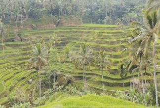 Der „Bali-Reporter“ und der erste Hotel-Check im Samaya Ubud