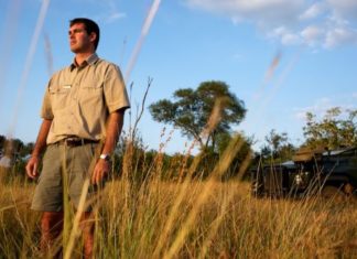 Südafrika: Ausgebildete Hundestaffel gegen Nashorn-Wilderer