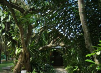 Bhavana Phuket präsentiert neue Lösung für Führungskräfte mit Suchterkrankungen