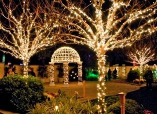 Botanischer Garten in Largo: 500.000 Lichter zur Weihnachtszeit