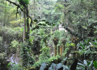 Mexiko: Verschollene Maya-Stadt entdeckt! VIDEO