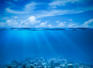 Unterwasserfoto- und Filmfestival zeigte auch Öko-Tourismus auf den Seychellen