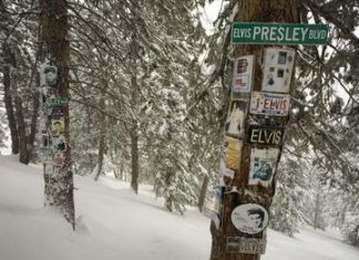Abgefahren! Aspen / Colorado: Skifahren und Elvis Presley huldigen