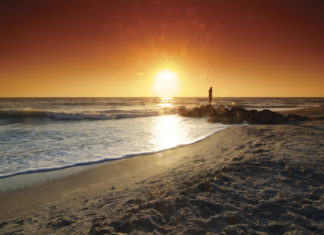 Sarasota / USA: Festival zu Ehren prähistorischer Haifischzähne am Strand von Venice
