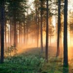 schweden-midnightsun