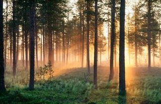 Schöne Reiserouten durch Südschweden