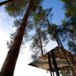 treehotel1
