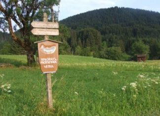 Bayern: In Inzell ist der Schweinsbraten in 95 Minuten „abgearbeitet“