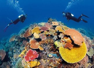 World Oceans Day: Great Barrier Reef geht LIVE auf Sendung