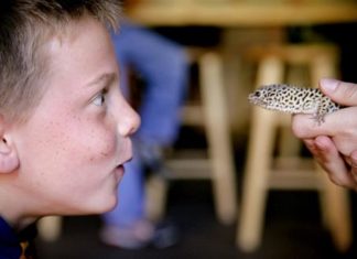 Tierbegegnungen in Colorado – oder Pyjamaparty im Zoo ?