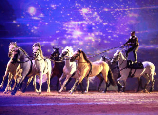 APASSIONATA beendet Jubiläumstour mit Zuschauerrekord !