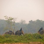 Anantara-Elefanten2