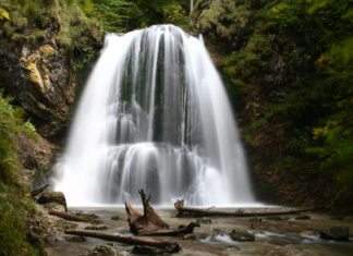 Oberbayern: Tierischer Sommer-Spaß mit dem Arabella Alpenhotel am Spitzingsee