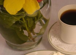 Florida / Key West: Festival zu Ehren des Limetten Kuchens