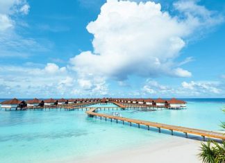 Gäste haben gewählt: Sieben TUI Hollys für ROBINSON