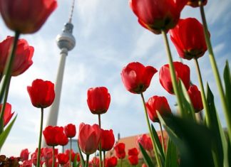 Im offenen Cabriobus durch Berlin mit andel´s Hotel