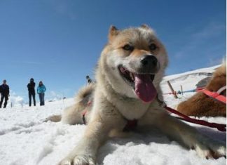 Familienurlaub – Tierisches für die ganze Familie!