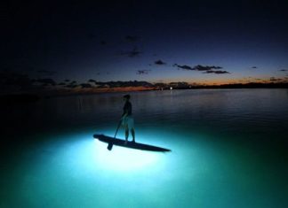 Auf Key West können Wassersportler die Unterwasserwelt auch nachts entdecken