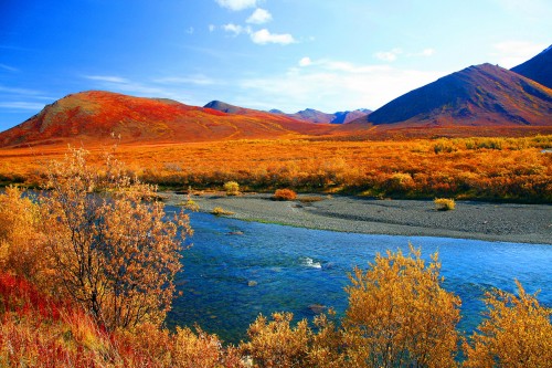 Herbst in den Northwest Territories (Bildnachweis: G.Sigl)