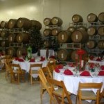 Edle Tropfen Nevada 2