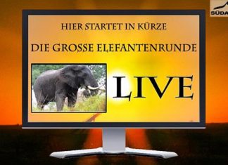 Am Mittwoch um 11 Uhr LIVE von der ITB: Die Elefantenrunde