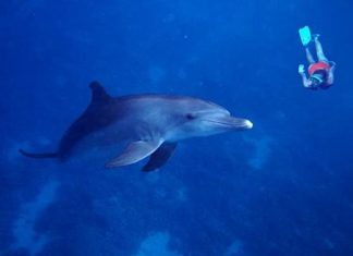 Ägypten: Wassersport-Events 2014 in Soma Bay