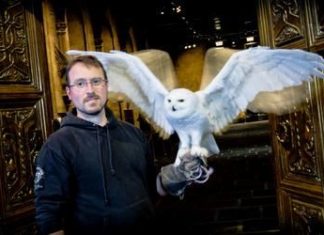 Feathers-and-Flight-Wochen bei der Warner Bros. Studio Tour London