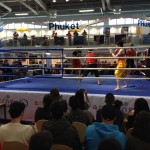 iphone-oktober2013 1026